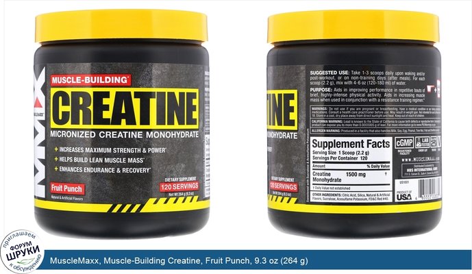 MuscleMaxx, Muscle-Building Creatine, Fruit Punch, 9.3 oz (264 g)