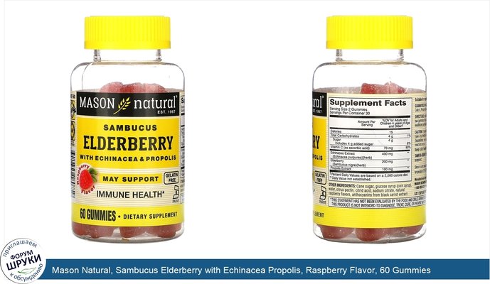 Mason Natural, Sambucus Elderberry with Echinacea Propolis, Raspberry Flavor, 60 Gummies