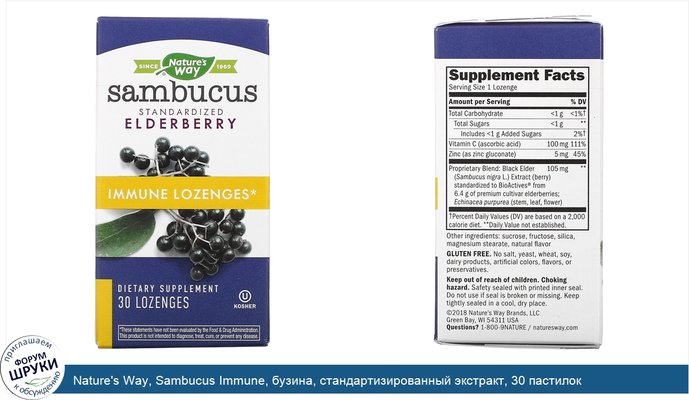 Nature\'s Way, Sambucus Immune, бузина, стандартизированный экстракт, 30 пастилок