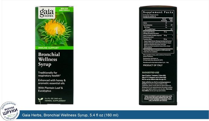 Gaia Herbs, Bronchial Wellness Syrup, 5.4 fl oz (160 ml)