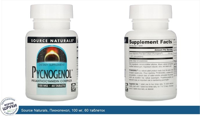 Source Naturals, Пикногенол, 100 мг, 60 таблеток