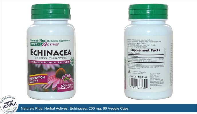 Nature\'s Plus, Herbal Actives, Echinacea, 200 mg, 60 Veggie Caps