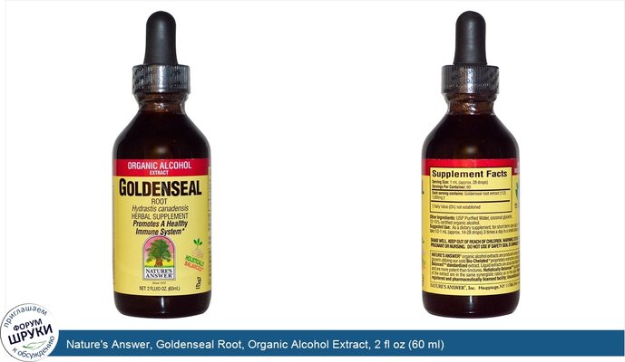 Nature\'s Answer, Goldenseal Root, Organic Alcohol Extract, 2 fl oz (60 ml)