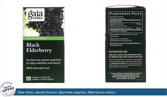 Gaia Herbs, черная бузина с фруктами ацеролы, 60веганских капсул