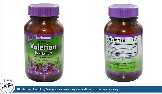 Bluebonnet Nutrition, Экстракт корня валерианы, 60 вегетарианских капсул