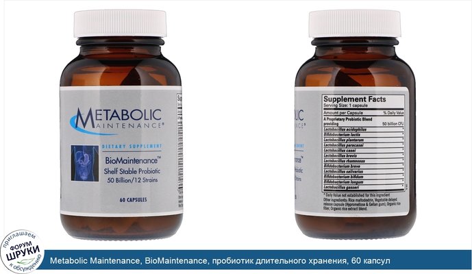 Metabolic Maintenance, BioMaintenance, пробиотик длительного хранения, 60 капсул