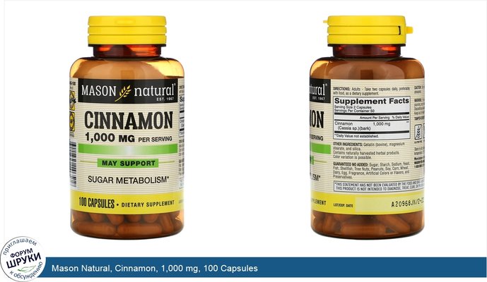 Mason Natural, Cinnamon, 1,000 mg, 100 Capsules