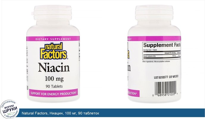 Natural Factors, Ниацин, 100 мг, 90 таблеток