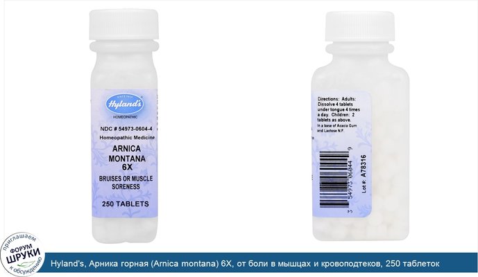 Hyland\'s, Арника горная (Arnica montana) 6X, от боли в мышцах и кровоподтеков, 250 таблеток