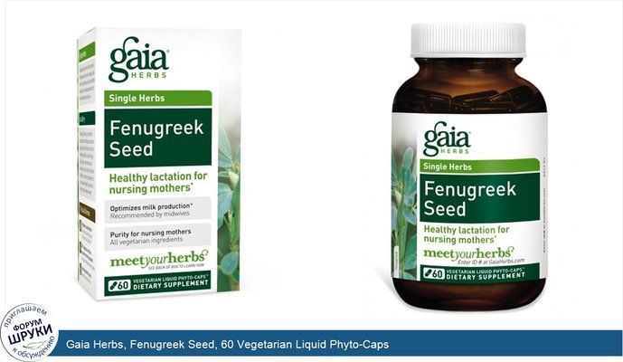 Gaia Herbs, Fenugreek Seed, 60 Vegetarian Liquid Phyto-Caps