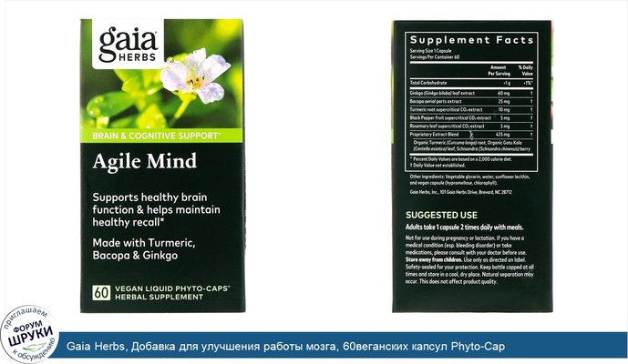 Gaia Herbs, Добавка для улучшения работы мозга, 60веганских капсул Phyto-Cap
