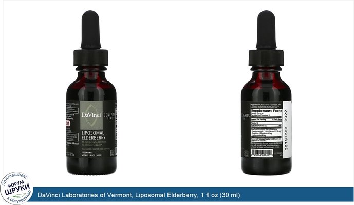 DaVinci Laboratories of Vermont, Liposomal Elderberry, 1 fl oz (30 ml)