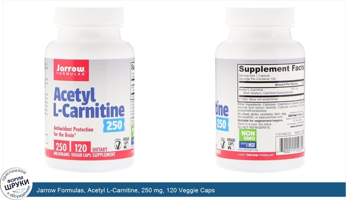 Jarrow Formulas, Acetyl L-Carnitine, 250 mg, 120 Veggie Caps