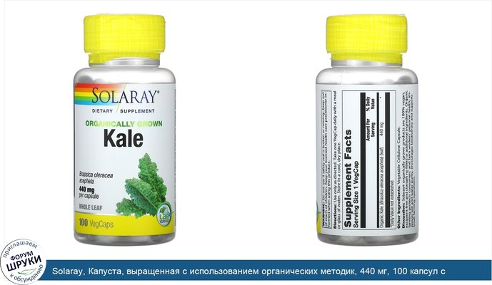 Solaray, Капуста, выращенная с использованием органических методик, 440 мг, 100 капсул с оболочкой из ингредиентов растительного происхождения
