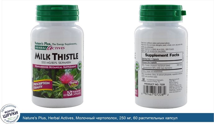 Nature\'s Plus, Herbal Actives, Молочный чертополох, 250 мг, 60 растительных капсул