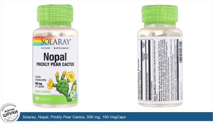 Solaray, Nopal, Prickly Pear Cactus, 500 mg, 100 VegCaps