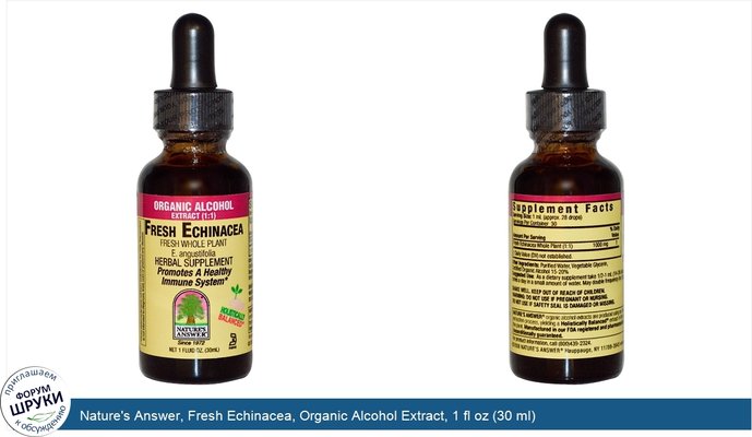 Nature\'s Answer, Fresh Echinacea, Organic Alcohol Extract, 1 fl oz (30 ml)