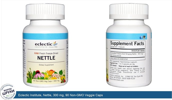 Eclectic Institute, Nettle, 300 mg, 90 Non-GMO Veggie Caps