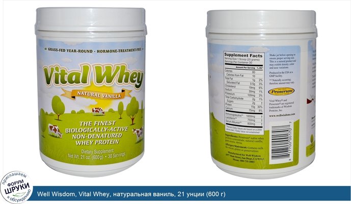 Well Wisdom, Vital Whey, натуральная ваниль, 21 унции (600 г)