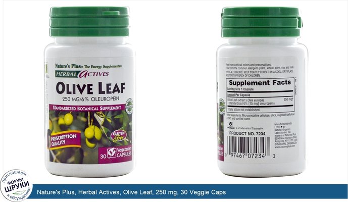 Nature\'s Plus, Herbal Actives, Olive Leaf, 250 mg, 30 Veggie Caps