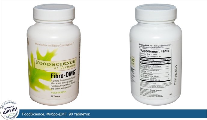 FoodScience, Фибро-ДМГ, 90 таблеток