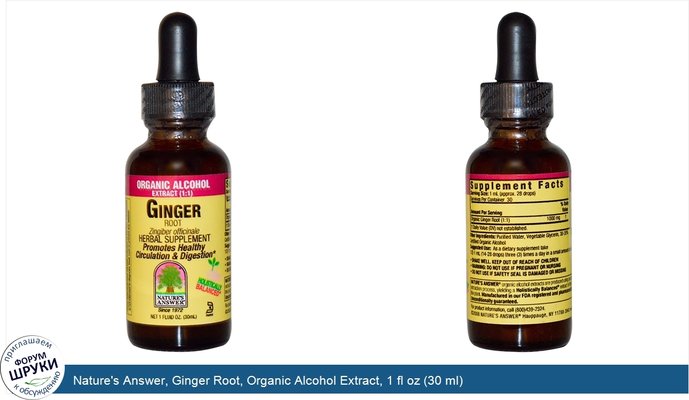 Nature\'s Answer, Ginger Root, Organic Alcohol Extract, 1 fl oz (30 ml)