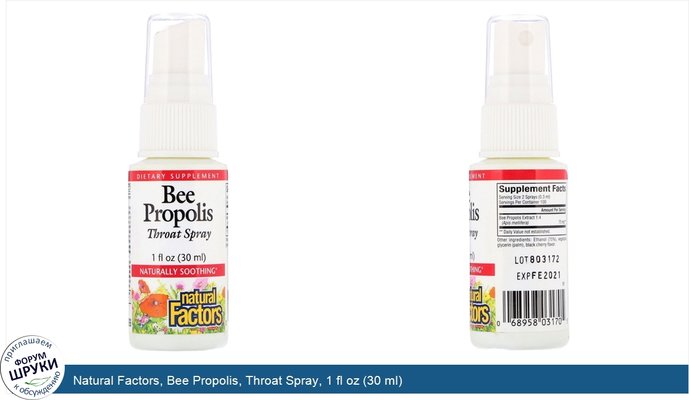 Natural Factors, Bee Propolis, Throat Spray, 1 fl oz (30 ml)