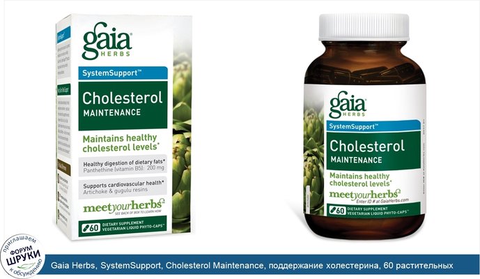 Gaia Herbs, SystemSupport, Cholesterol Maintenance, поддержание холестерина, 60 растительных жидкостных фитокапсул