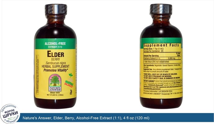 Nature\'s Answer, Elder, Berry, Alcohol-Free Extract (1:1), 4 fl oz (120 ml)