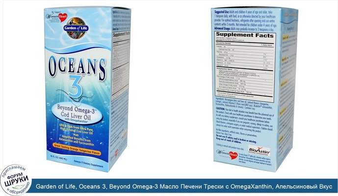 Garden of Life, Oceans 3, Beyond Omega-3 Масло Печени Трески с OmegaXanthin, Апельсиновый Вкус 16 жидких унции (480 мл)