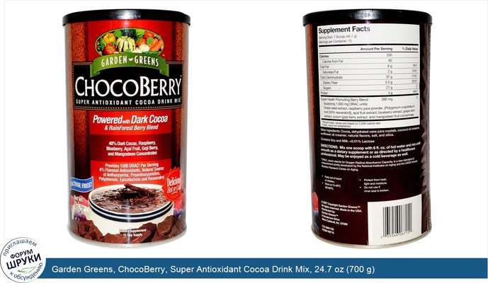 Garden Greens, ChocoBerry, Super Antioxidant Cocoa Drink Mix, 24.7 oz (700 g)
