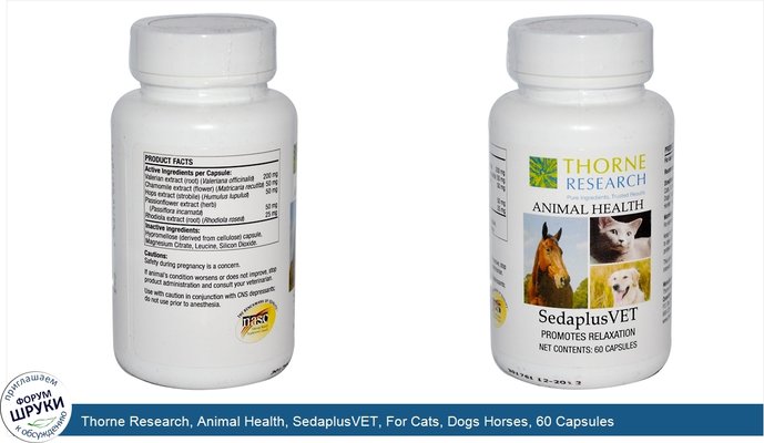 Thorne Research, Animal Health, SedaplusVET, For Cats, Dogs Horses, 60 Capsules
