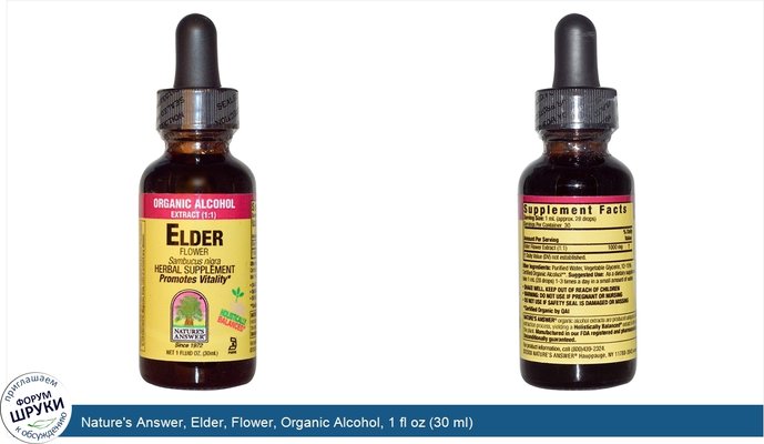 Nature\'s Answer, Elder, Flower, Organic Alcohol, 1 fl oz (30 ml)