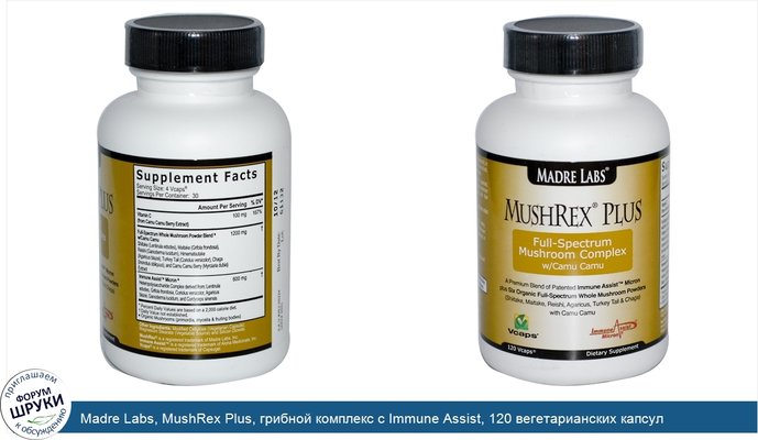 Madre Labs, MushRex Plus, грибной комплекс с Immune Assist, 120 вегетарианских капсул
