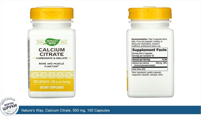 Nature\'s Way, Calcium Citrate, 500 mg, 100 Capsules