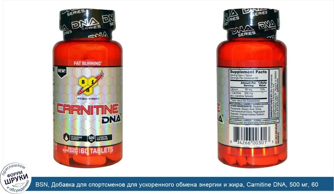 BSN, Добавка для спортсменов для ускоренного обмена энергии и жира, Carnitine DNA, 500 мг, 60 таблеток