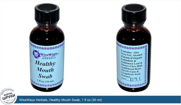WiseWays Herbals, Healthy Mouth Swab, 1 fl oz (30 ml)