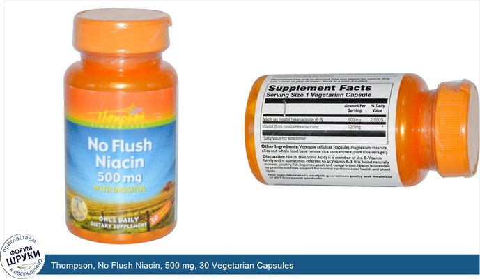 Thompson, No Flush Niacin, 500 mg, 30 Vegetarian Capsules