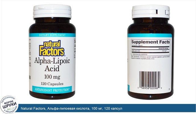 Natural Factors, Альфа-липоевая кислота, 100 мг, 120 капсул