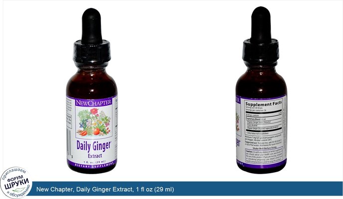 New Chapter, Daily Ginger Extract, 1 fl oz (29 ml)