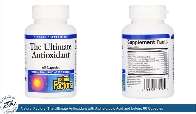 Natural Factors, The Ultimate Antioxidant with Alpha-Lipoic Acid and Lutein, 60 Capsules
