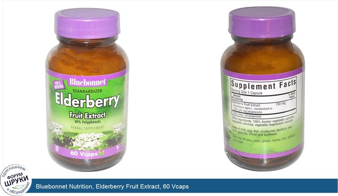 Bluebonnet Nutrition, Elderberry Fruit Extract, 60 Vcaps