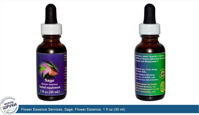 Flower Essence Services, Sage, Flower Essence, 1 fl oz (30 ml)