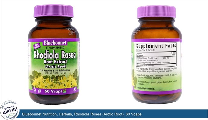 Bluebonnet Nutrition, Herbals, Rhodiola Rosea (Arctic Root), 60 Vcaps