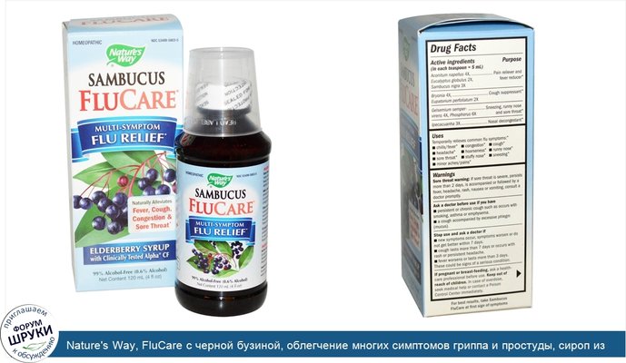 Nature\'s Way, FluCare с черной бузиной, облегчение многих симптомов гриппа и простуды, сироп из бузины, 4 жидкие унции (120 мл)