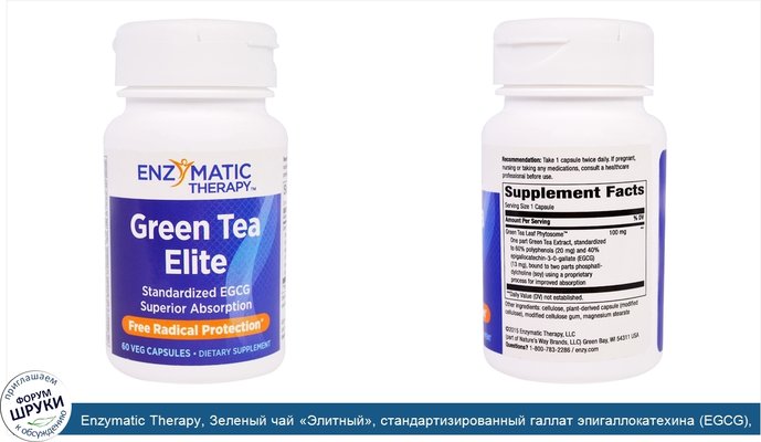 Enzymatic Therapy, Зеленый чай «Элитный», стандартизированный галлат эпигаллокатехина (EGCG), 60 растительных капсул