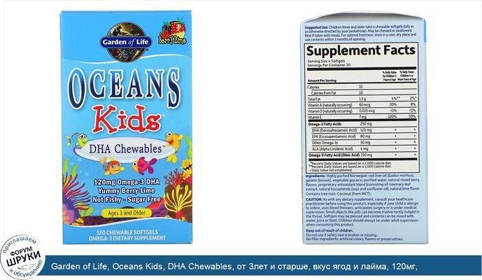 Garden of Life, Oceans Kids, DHA Chewables, от 3лет и старше, вкус ягод и лайма, 120мг, 120жевательных мягких таблеток