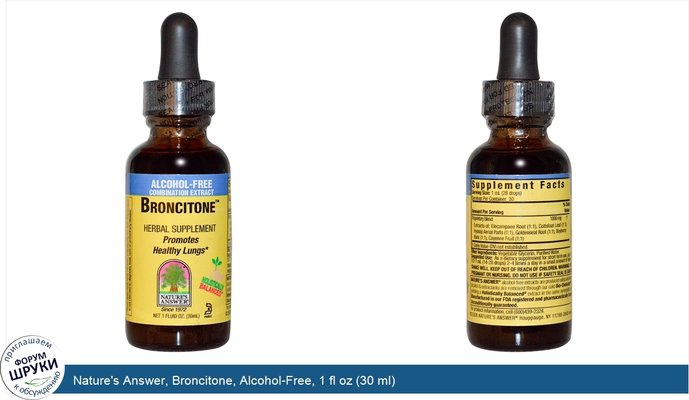 Nature\'s Answer, Broncitone, Alcohol-Free, 1 fl oz (30 ml)