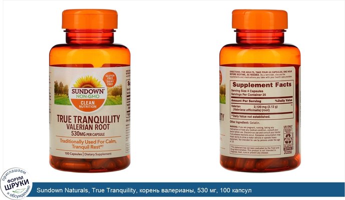 Sundown Naturals, True Tranquility, корень валерианы, 530 мг, 100 капсул