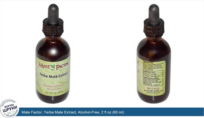 Mate Factor, Yerba Mate Extract, Alcohol-Free, 2 fl oz (60 ml)